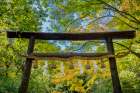 Wooden Torii Gate, Nonomiya Shinto shrine, Arashiyama, Kyoto, Japan Art Print